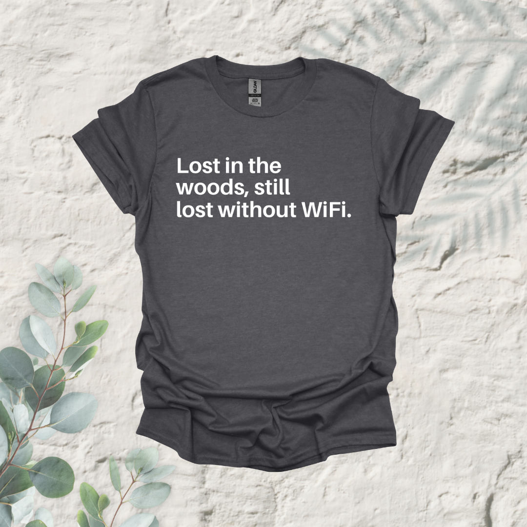 Lost In The Woods Still Lost Without Wifi