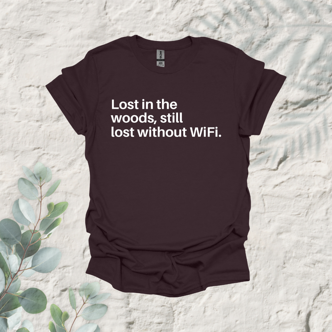 Lost In The Woods Still Lost Without Wifi