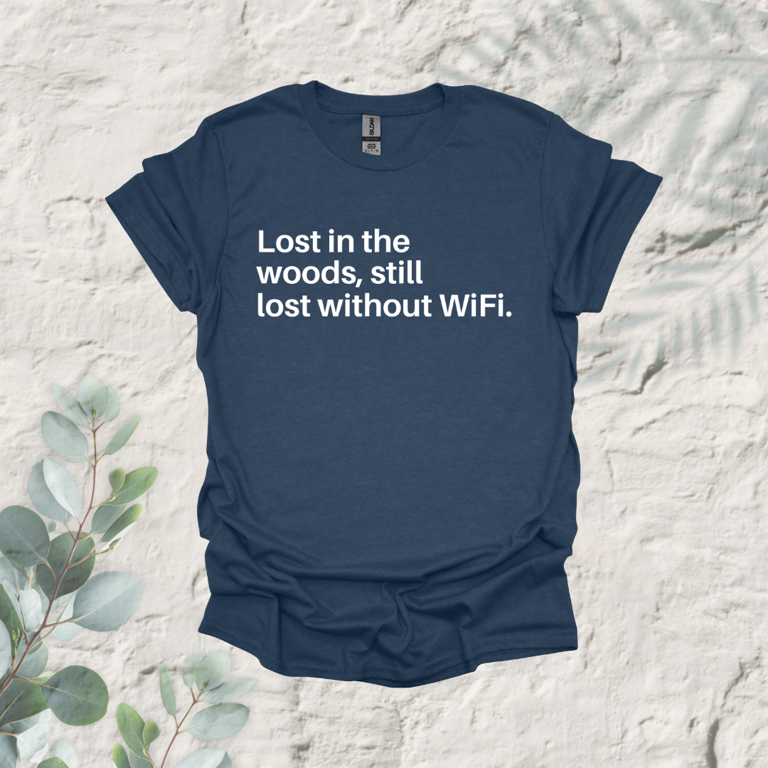 Lost In The Woods Still Lost Without Wifi