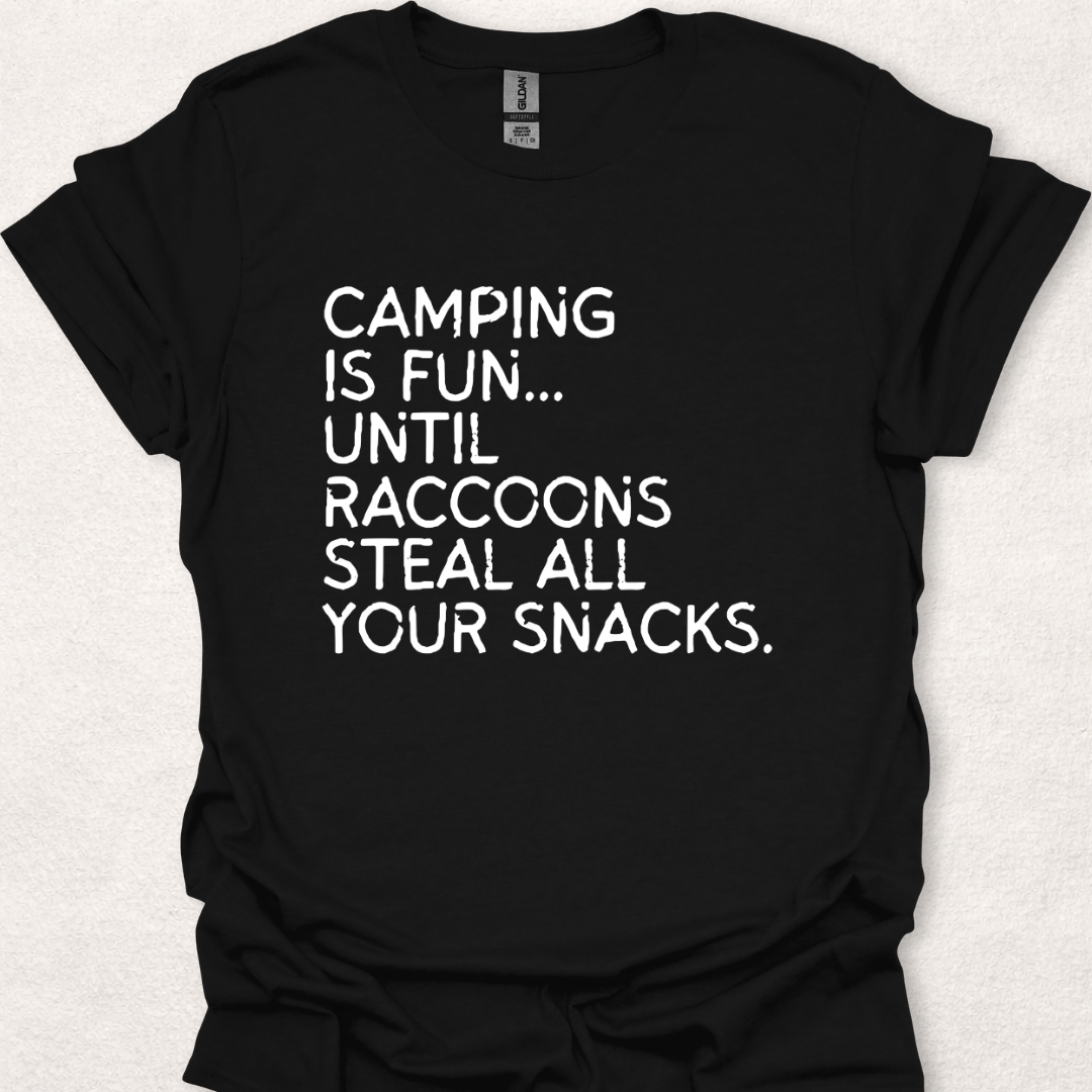 Raccoons Stole My Snacks