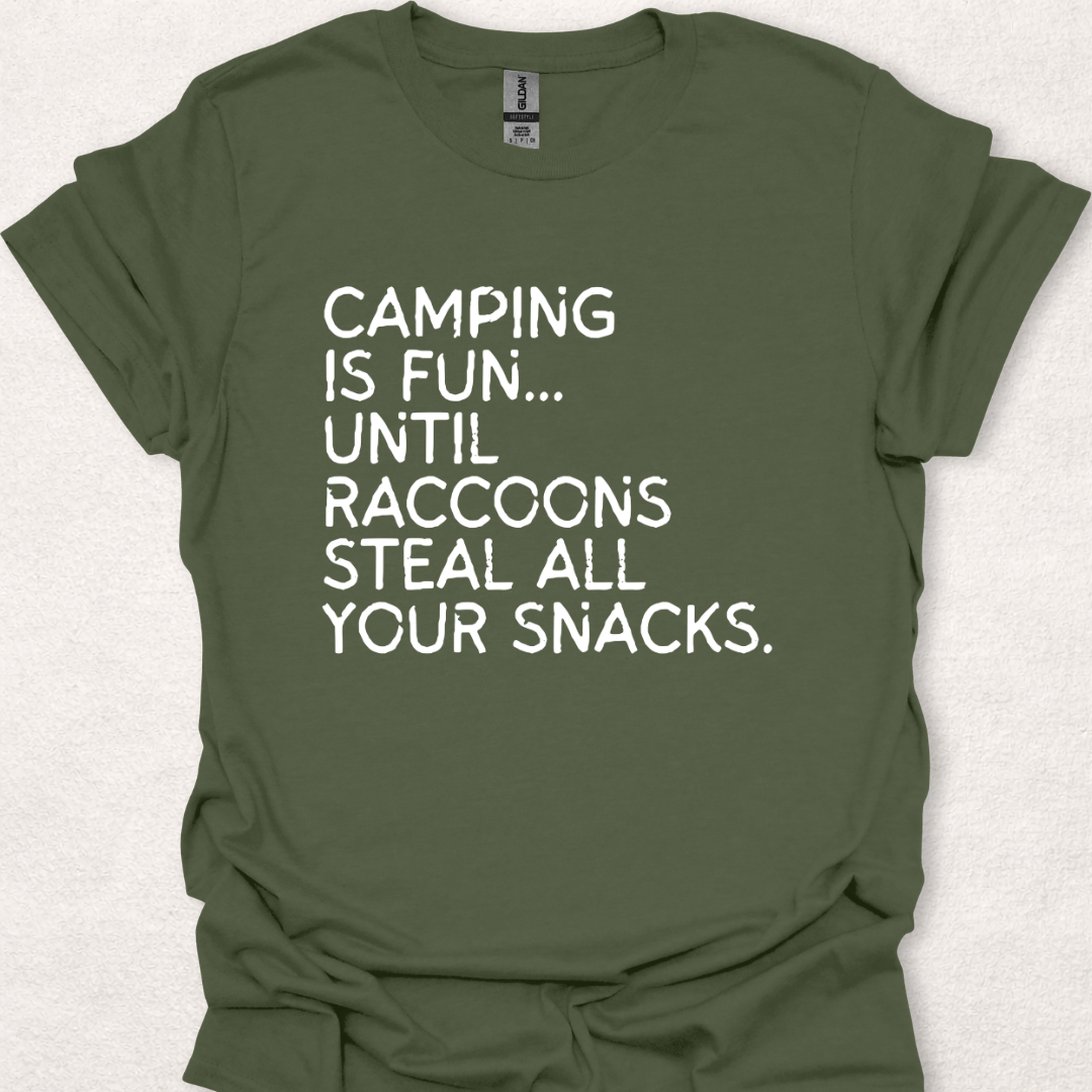 Raccoons Stole My Snacks