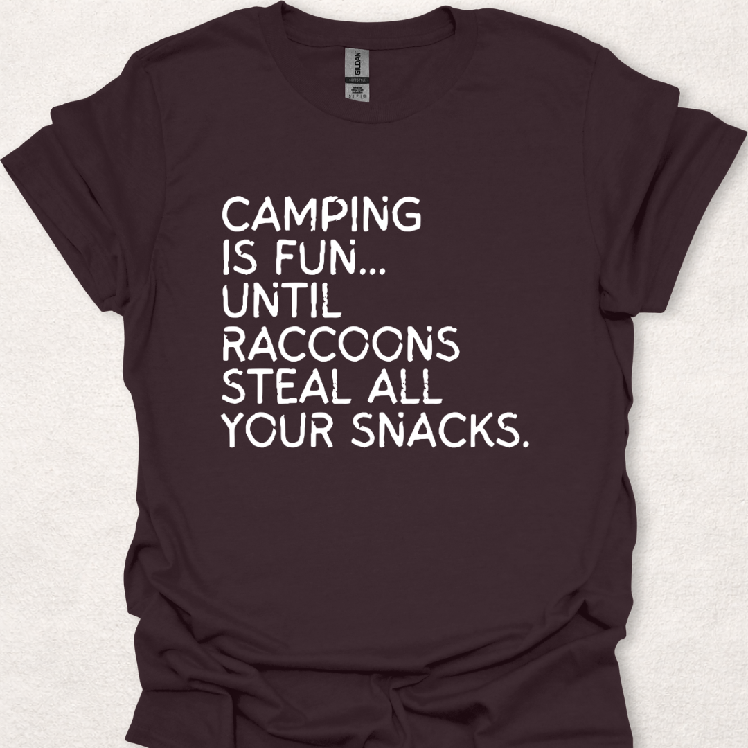 Raccoons Stole My Snacks