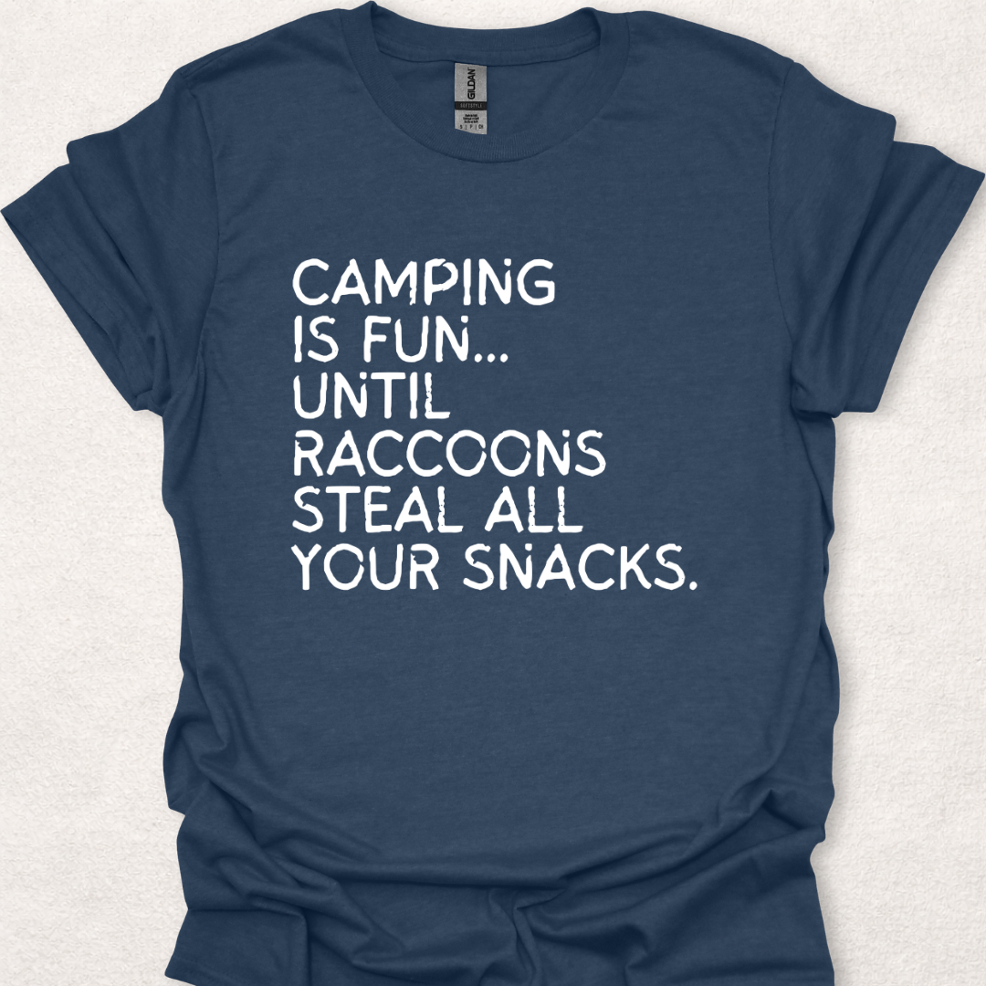 Raccoons Stole My Snacks